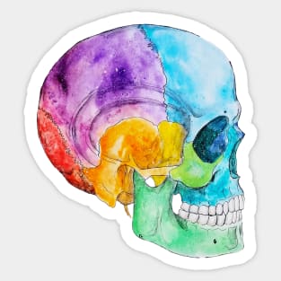 Rainbow Skull Sticker